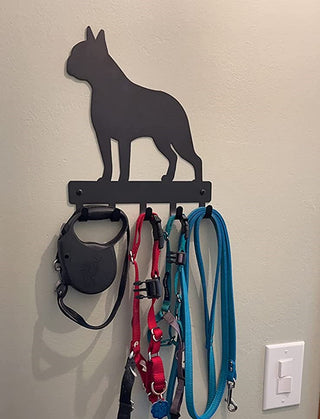 A Boston Terrier leash hanger on the wall with leashes on 5 hooks.