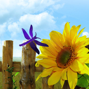 Dragonfly Decor – Vibrant Wall or Fence Art The Metal Peddler