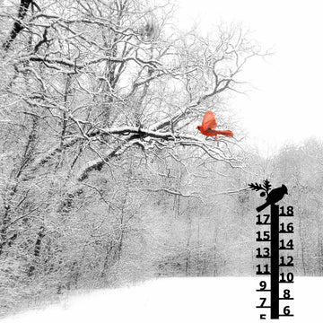 Cardinal Snow Gauge: Measures up to 18" Snowfall - The Metal Peddler Snow Gauge bird, not-dog, seasonal, snow gauge, wildlife, winter