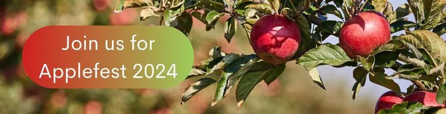 Celebrate Applefest in Franklin, PA – Fun, Shopping, Parking, and a Special Giveaway! - The Metal Peddler