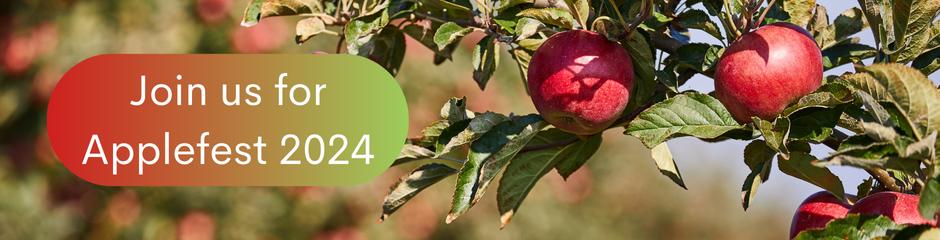 Celebrate Applefest in Franklin, PA – Fun, Shopping, Parking, and a Special Giveaway!