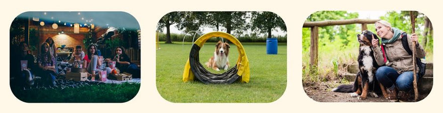 5 Fun Staycation Activities for Parents and Dog Owners - The Metal Peddler