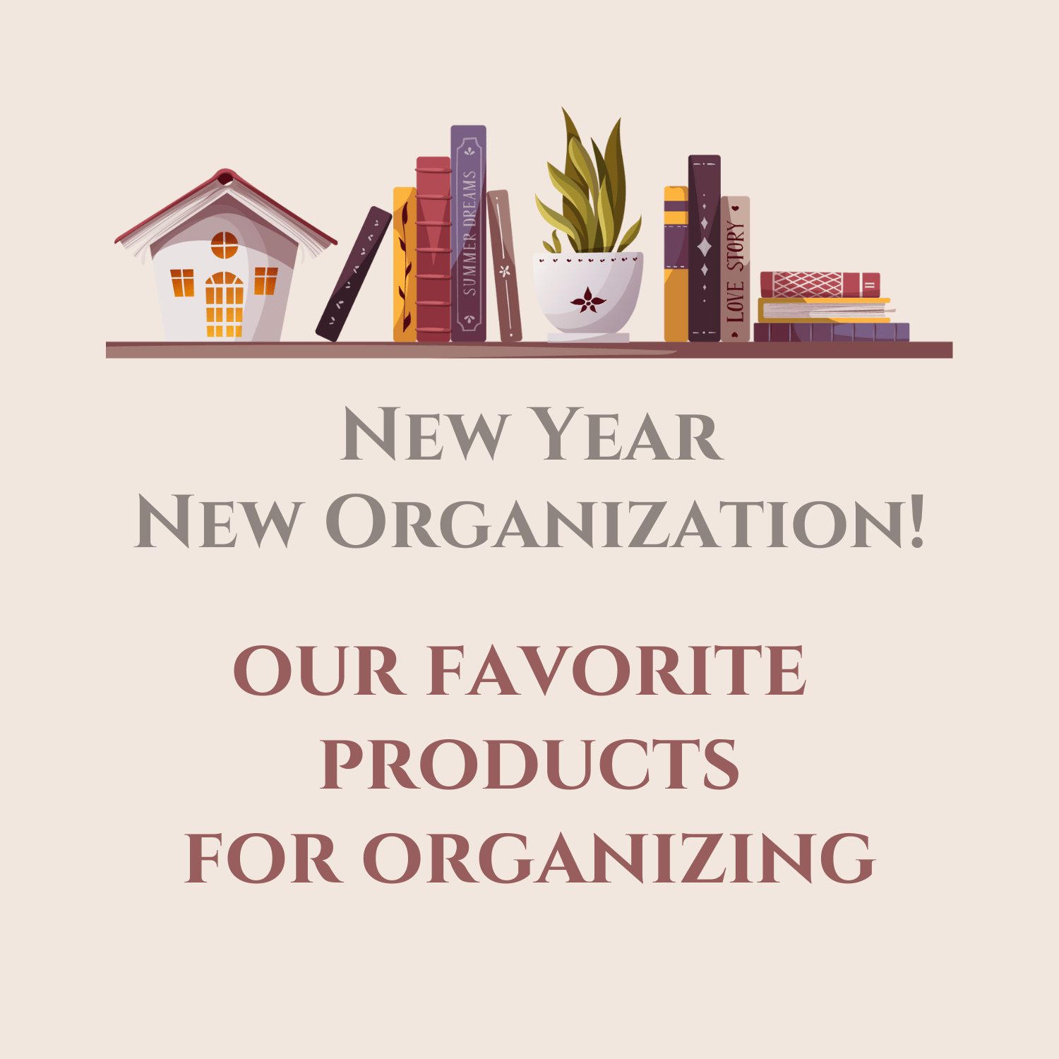New Year New Organization