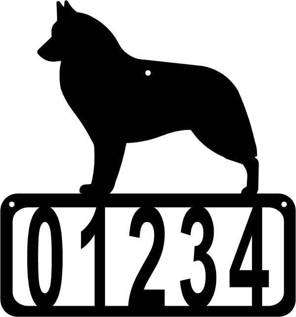 Belgian Sheepdog dog breed with custom address 