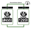 Brittany_Spaniel_Dog_Address_Options