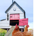Two brown chickens in the foreground with a white wooden chicken coop featuring a red barn door in the background under a blue sky.
