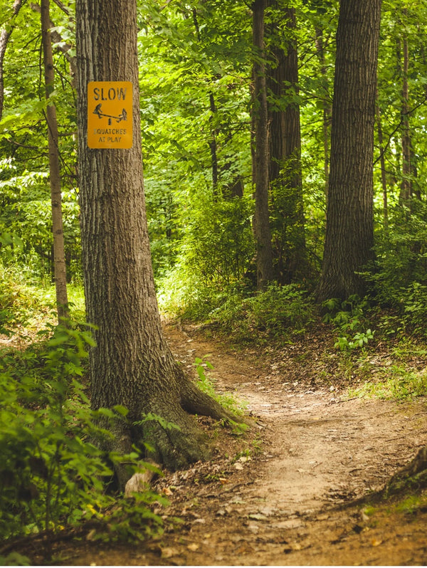 Yellow warning sign SLOW Squatches at play 