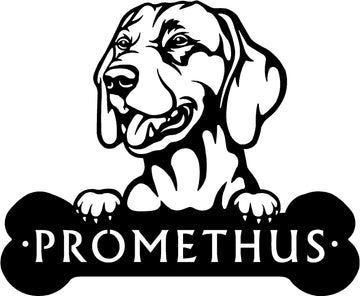 Vizsla Head and Dog Bone Sign with Custom Name or Numbers