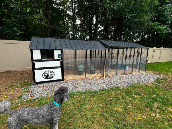 Barred Rock Cafe Chicken Sign