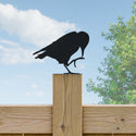 Preening Crow Fence Post Topper