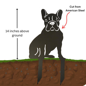 Illustration of a dog standing on grass with soil below, showing a cut line labeled 'American Steel' and text indicating '14 inches above ground'.