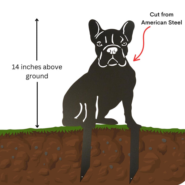 Illustration of a dog standing on grass with soil below, showing a cut line labeled 'American Steel' and text indicating '14 inches above ground'.