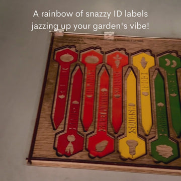 Video of the stakes in the display box