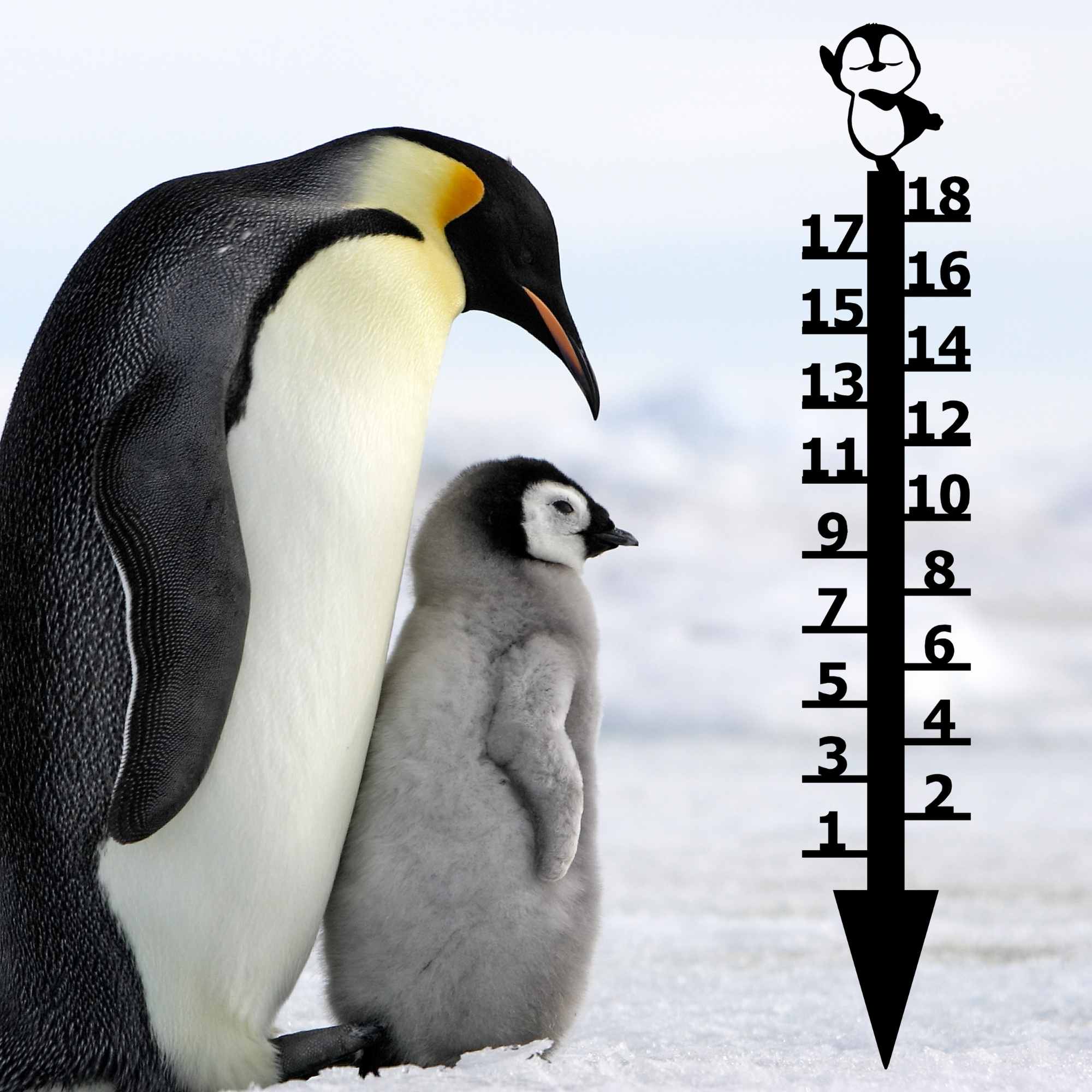 Penguin Snow Gauge: Measures up to 18" Snowfall - The Metal Peddler Snow Gauge not-dog, penguin, seasonal, snow gauge, wildlife, winter