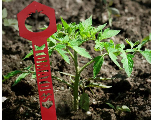 Garden plant stakes to identify vegetables - tomatoes