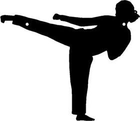 Karate Side Thrust Kick - Sport Silhouettes Wall Art - The Metal Peddler judo, karate, martial arts, silhouettes, sports, taekwondo, wall art